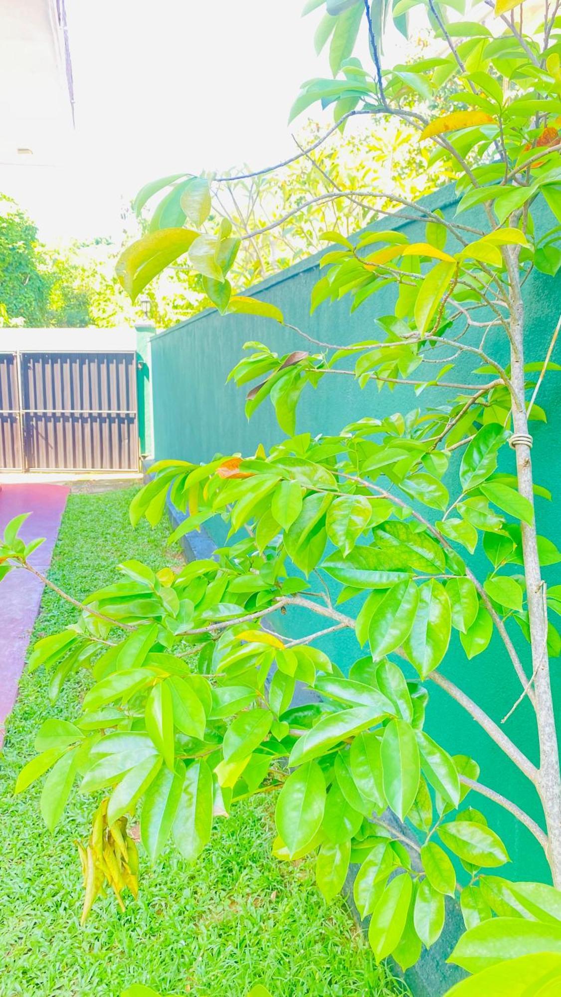 Sanasuma Villa بينتوتا المظهر الخارجي الصورة